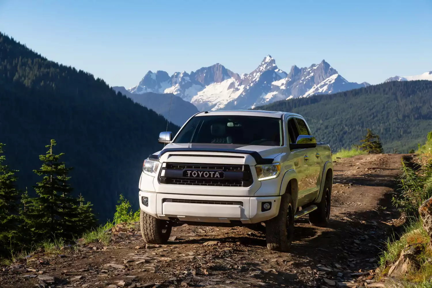 trash containers for Toyota Tacoma