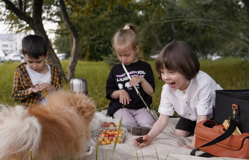 travel picnic blanket