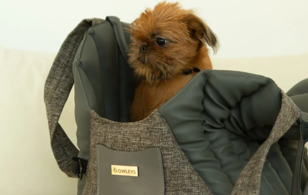 Belgian Griffon Dog Carrier Car Seat for Nissan Murano